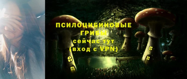 прущие крисы Абинск