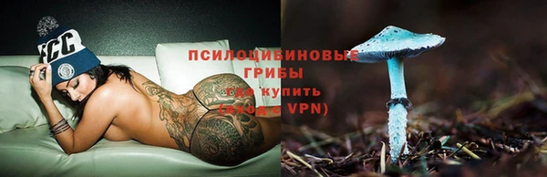 прущие крисы Абинск