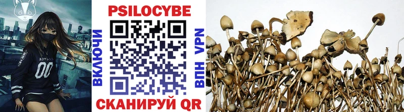 где найти   Райчихинск  дарк нет состав  Псилоцибиновые грибы Psilocybe 